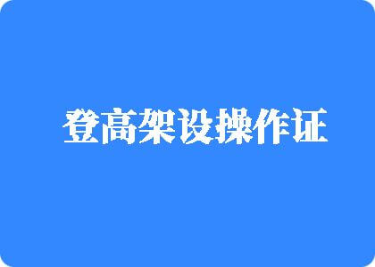 别操我的大骚逼里面了。网站登高架设操作证