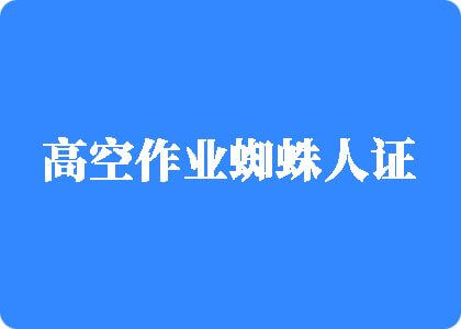 艹逼视频18高空作业蜘蛛人证